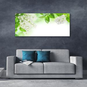 Obraz na plátne Plátky rastlina príroda 125x50 cm