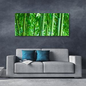 Obraz na plátne Bambus stonka rastlina 125x50 cm