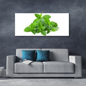 Obraz Canvas Mäta rastlina príroda 125x50 cm