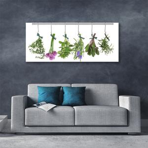Obraz Canvas Plátky rastlina kuchyňa 125x50 cm