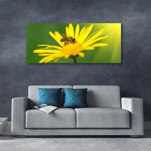 Obraz Canvas Osa kvet rastlina príroda 125x50 cm