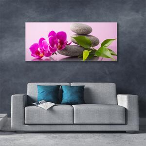 Obraz Canvas Kvet kamene zen rastlina 125x50 cm
