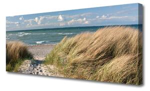Obraz Canvas Pláž more tráva krajina 125x50 cm