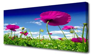 Obraz Canvas Lúka kvety nebo príroda 125x50 cm