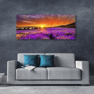 Obraz Canvas Západ slnka pole levanduľa 125x50 cm