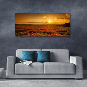 Obraz Canvas Pole maky západ slnka lúka 125x50 cm