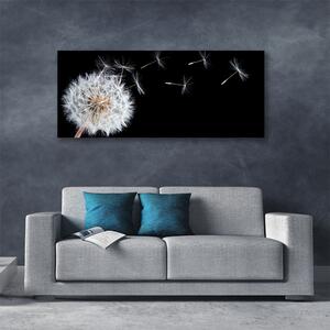 Obraz Canvas Púpava kvety príroda 125x50 cm