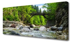 Obraz Canvas Drevený most v lese 125x50 cm