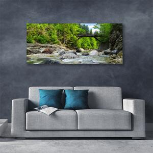 Obraz Canvas Drevený most v lese 125x50 cm