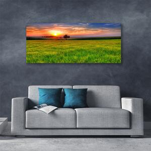Obraz Canvas Lúka slnko príroda 125x50 cm