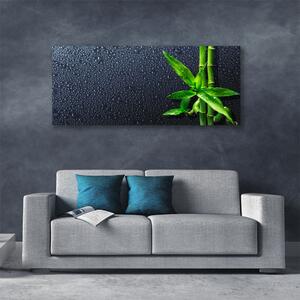 Obraz Canvas Bambus stonka rastlina príroda 125x50 cm