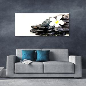Obraz Canvas Kvety kamene umenie 125x50 cm
