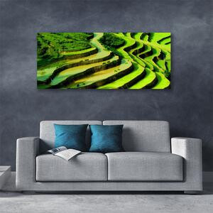 Obraz Canvas Pole ryža les umenie 125x50 cm