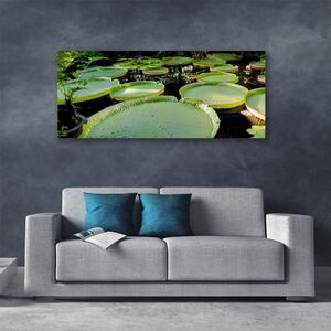 Obraz Canvas Listy jazero príroda 125x50 cm