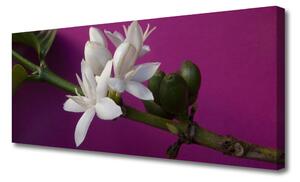 Obraz Canvas Kvety úhonky príroda 125x50 cm
