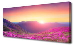 Obraz Canvas Slnko hory lúka príroda 125x50 cm