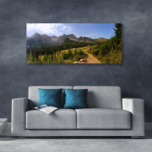Obraz Canvas Hala góry droga natura łąka 125x50 cm