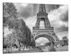 Čiernobiely obraz na stenu Eiffelovka a park