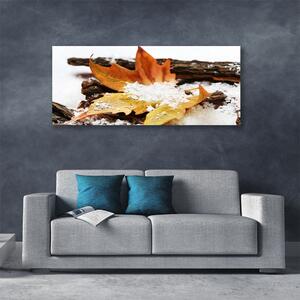 Obraz Canvas List les jeseň príroda 125x50 cm