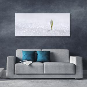 Obraz Canvas Snežienka sneh zima 125x50 cm
