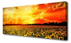 Obraz Canvas Lúka slnečnica kvety 125x50 cm