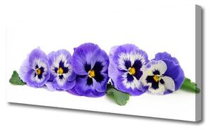 Obraz Canvas Plátky kvet sirôtky 125x50 cm