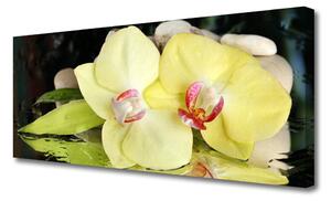 Obraz Canvas Okvetné plátky orchidea 125x50 cm