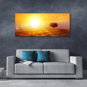 Obraz Canvas Západ slnka lúka plátky 125x50 cm