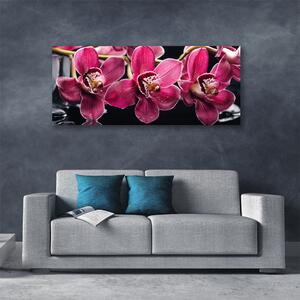 Obraz Canvas Kvety orchidey výhonky príroda 125x50 cm
