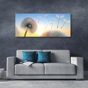 Obraz Canvas Púpava kvety 125x50 cm