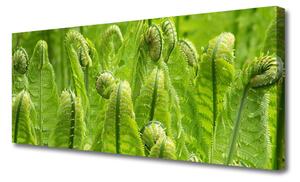 Obraz Canvas Rastlina príroda 125x50 cm