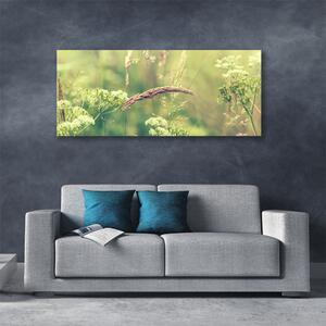 Obraz Canvas Divoké rastliny príroda 125x50 cm