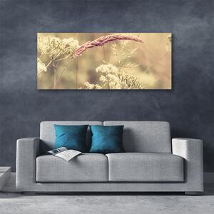 Obraz Canvas Divoké rastliny príroda 140x70 cm
