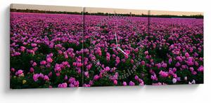 Obraz - Lúka fialových tulipánov (s hodinami) (90x30 cm)