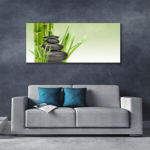 Obraz Canvas Bambus tráva rastlina príroda 125x50 cm