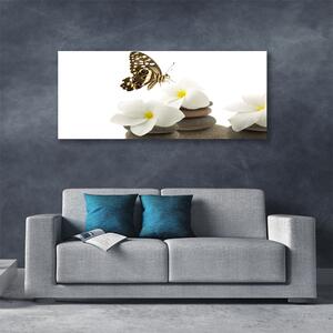 Obraz Canvas Motýľ kvet kamene rastlina 125x50 cm