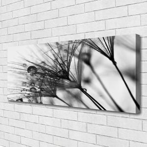 Obraz na plátne Abstrakcie rastlina 125x50 cm
