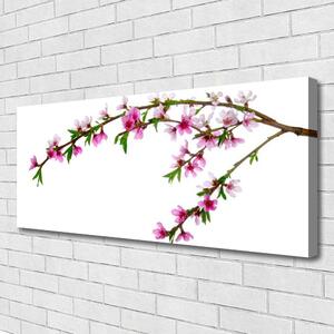 Obraz na plátne Vetva kvet príroda 125x50 cm