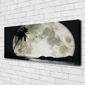 Obraz na plátne Noc mesiac palma krajina 125x50 cm