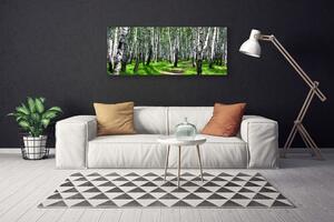 Obraz na plátne Stromy tráva príroda 125x50 cm