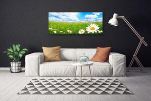 Obraz na plátne Sedmokráska tráva príroda 125x50 cm