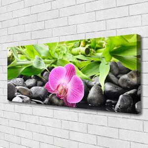 Obraz Canvas Kvety orchidea kamene zen 125x50 cm