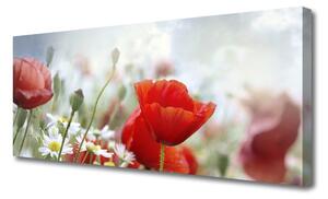 Obraz Canvas Kvety plátky rastlina 125x50 cm