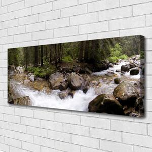 Obraz Canvas Les rieka vodopády 125x50 cm