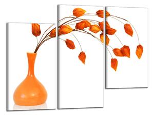Obraz na plátne Oranžová váza