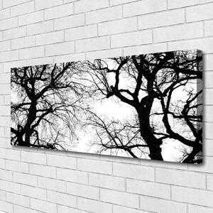 Obraz Canvas Stromy príroda čiernobiely 125x50 cm