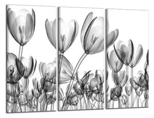 Moderný obraz Čiernobiele tulipány