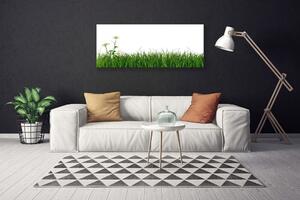 Obraz na plátne Burina príroda rastlina 125x50 cm