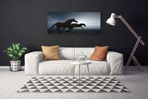 Obraz na plátne Kone zvieratá 125x50 cm