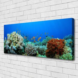 Obraz Canvas Koralový útes príroda 125x50 cm